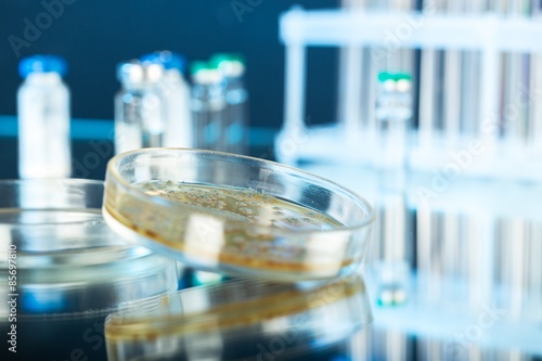Photos Bacteria, salmonella, coli.