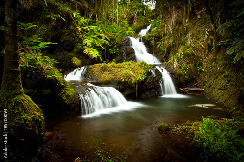 Fototapeta Naklejka Na Ścianę i Meble -  Beautiful Hawaiian Waterfall