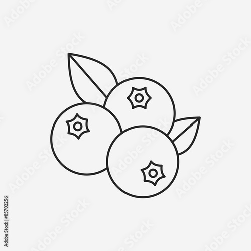fruits blueberry line icon