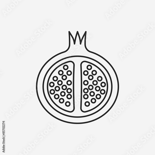 fruits pomegranate line icon