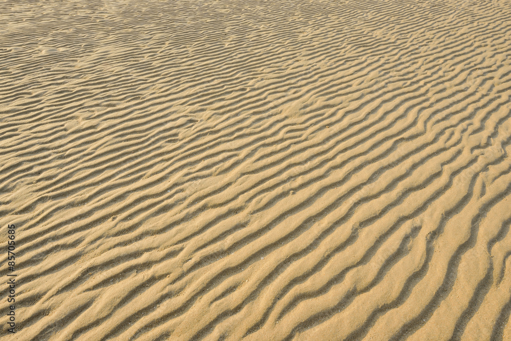 Fototapeta premium Dry rippled golden sand, ideal for backgrounds and textures