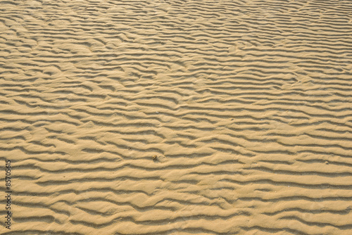 Dry rippled golden sand, ideal for backgrounds and textures