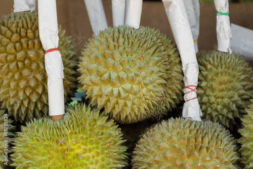 Durian in fresh fruit market photo
