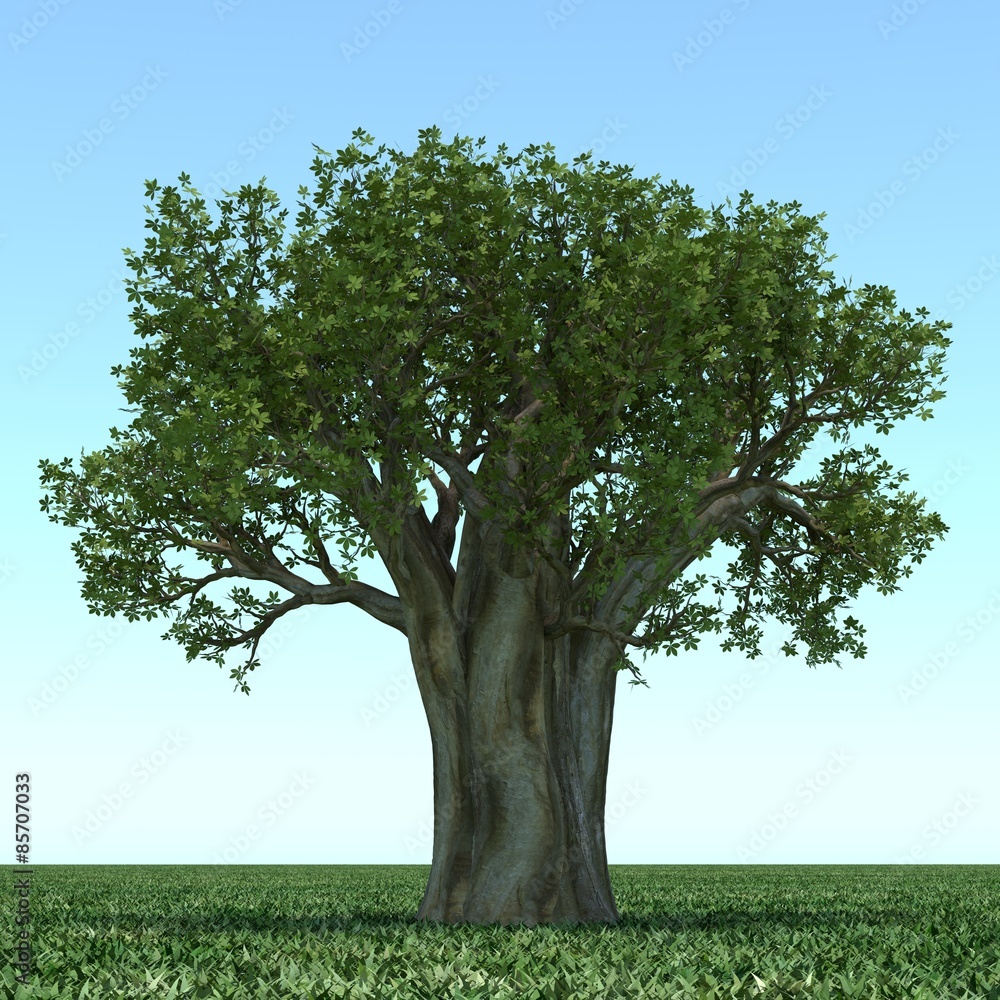 3D Tree 3D Tree