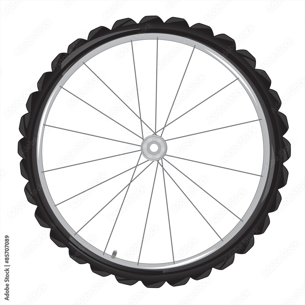 Wheel of the bicycle Wheel of the bicycle
