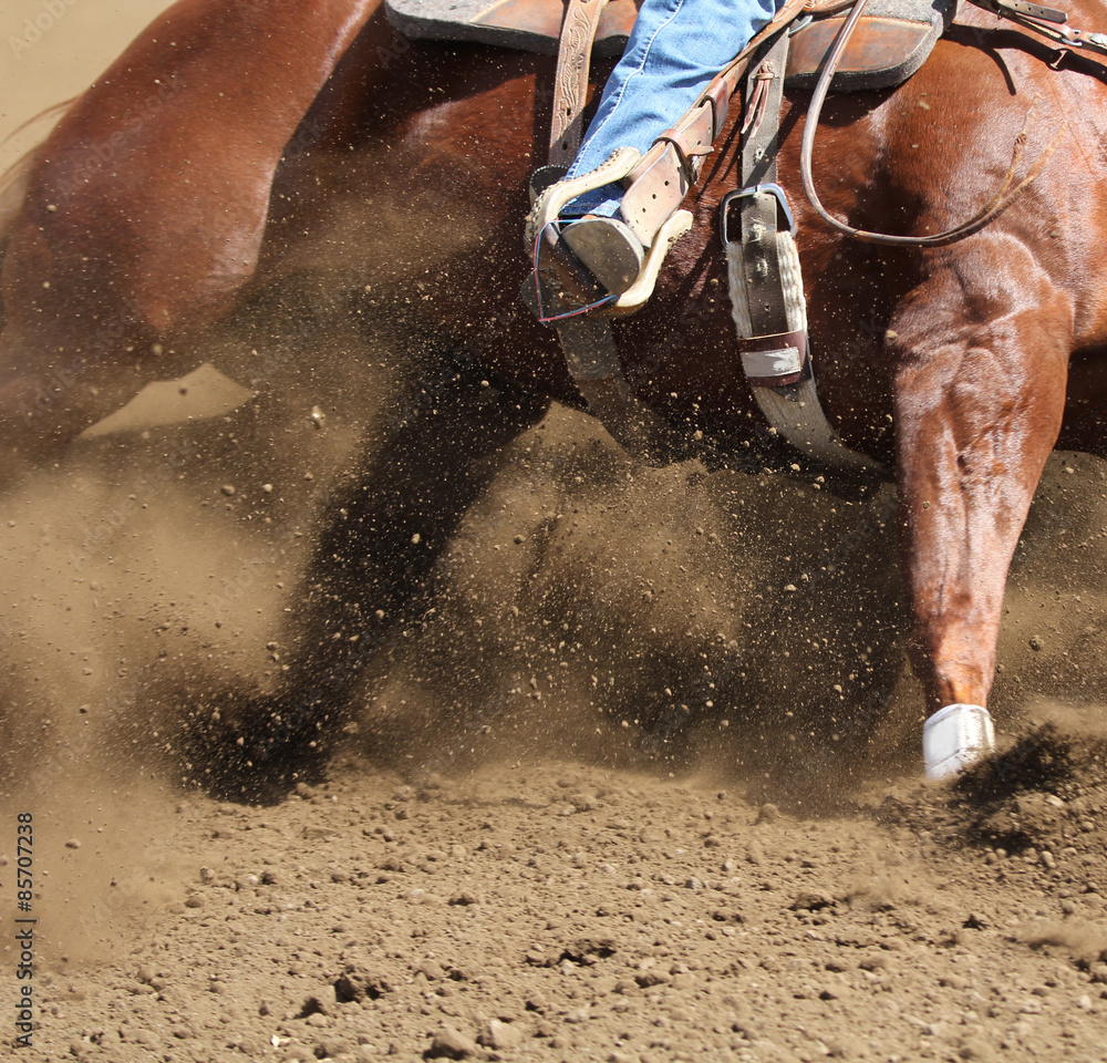Fototapeta premium A close up action photo of a horse sliding around a barrel with dirt flying.