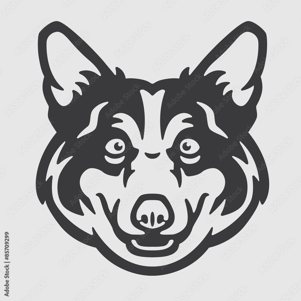 Obraz premium Pembroke Welsh Corgi Head Logo Mascot Emblem