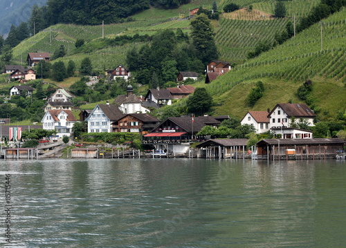 walensee...vignes