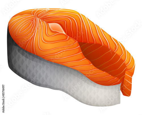 Salmon