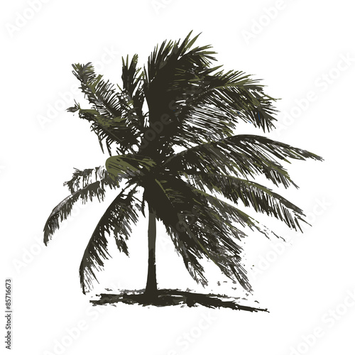 Tropical palm tree for your design