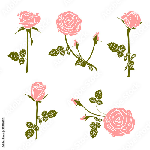 rose set