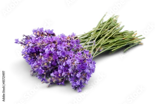 Lavender, Flower, Lavender Coloured.