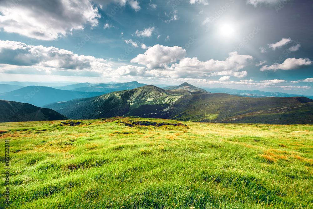 Mountain landscape in summer