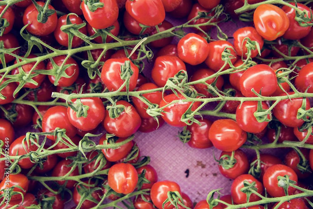 bio tomatoes  farmer's market