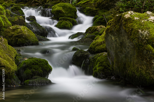 Waterfall on Bigar stream  Natural Park Cheile Nerei-Beusnita  Romania