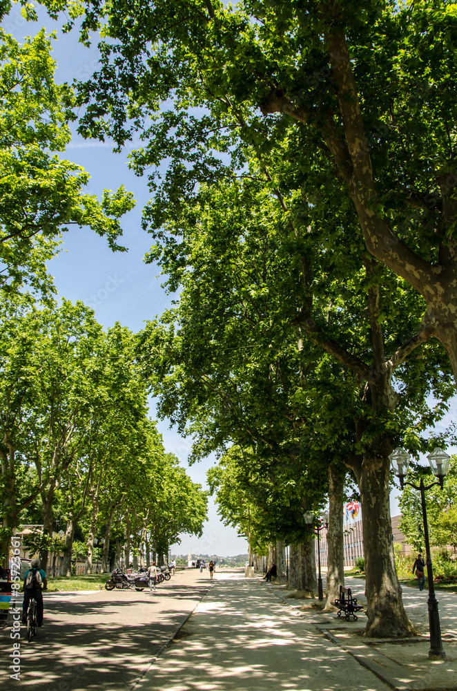 Jardin du Champ de Mars in Montpellier