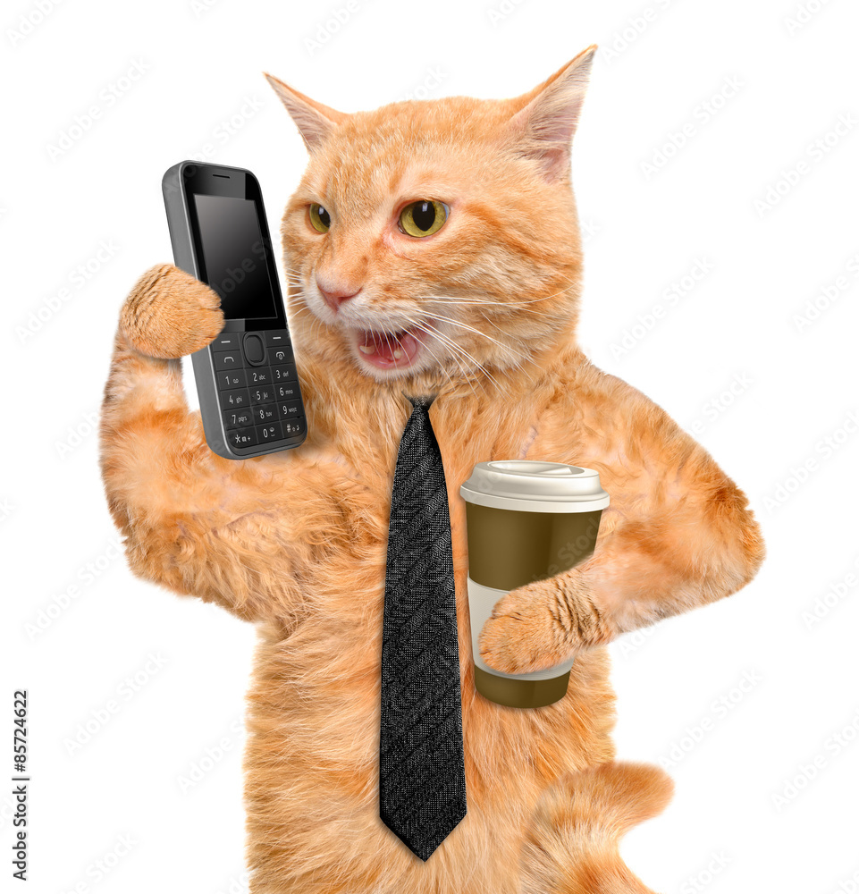 Fototapeta premium Business cat.
