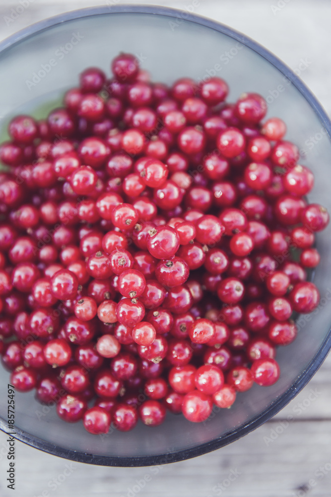 fresh bio red currant fresh bio red currant