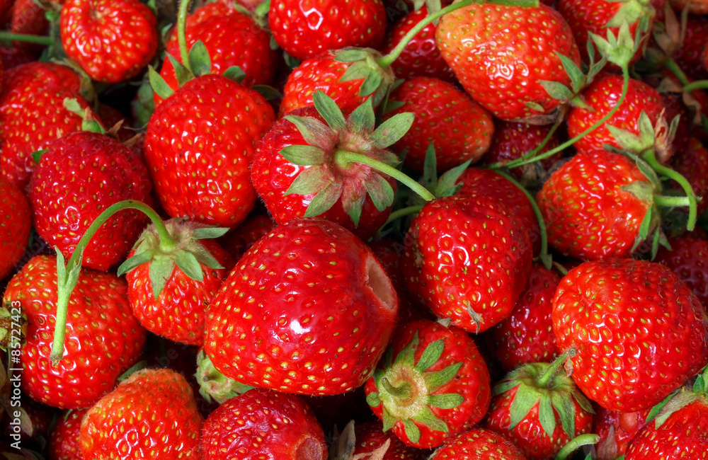 Erdbeeren Erdbeeren