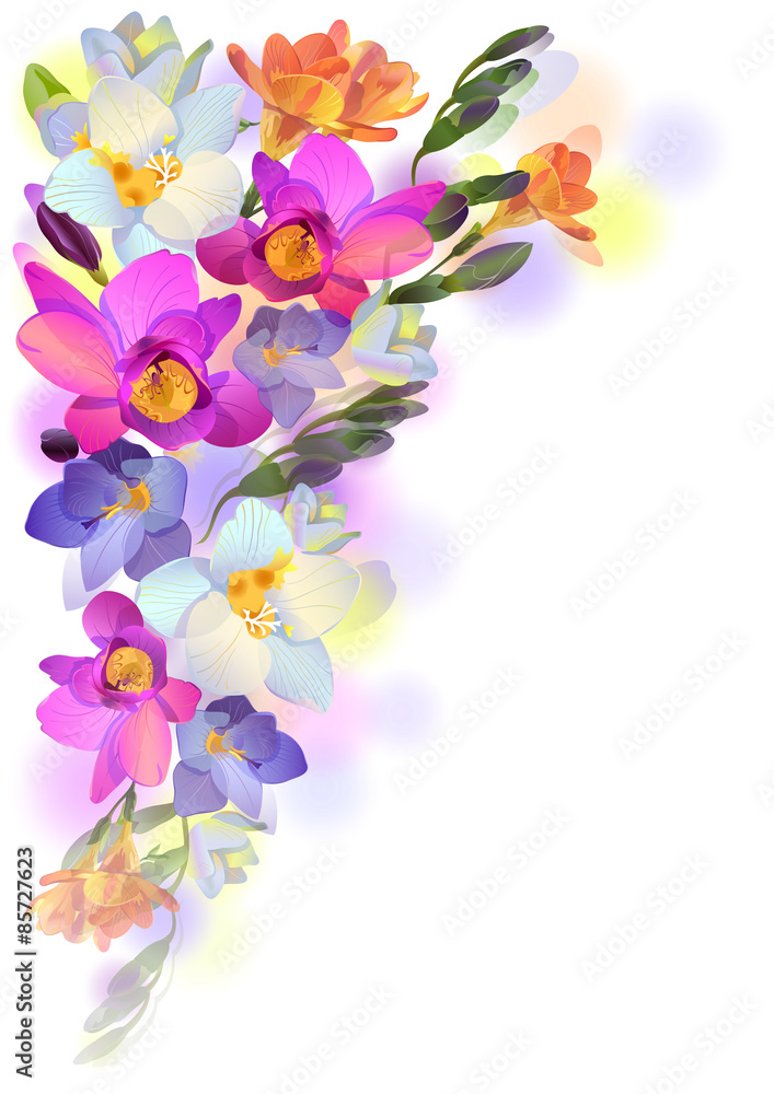 Spring background with gentle freesia flowers