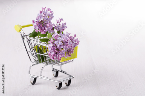 Fototapeta Naklejka Na Ścianę i Meble -  Lilac branch in a small  shopping cart