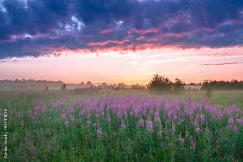  landscape with the sunrise, a blossoming meadow and fog