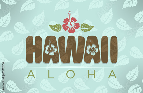 Vector illustration of Hawaii and aloha word