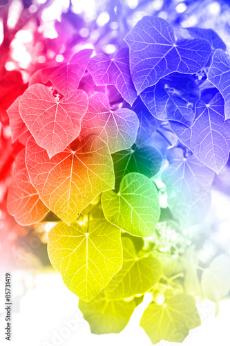 leaf made by color filter for background