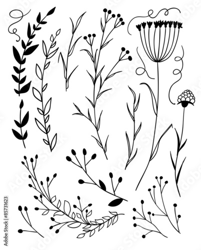 Flowers collection