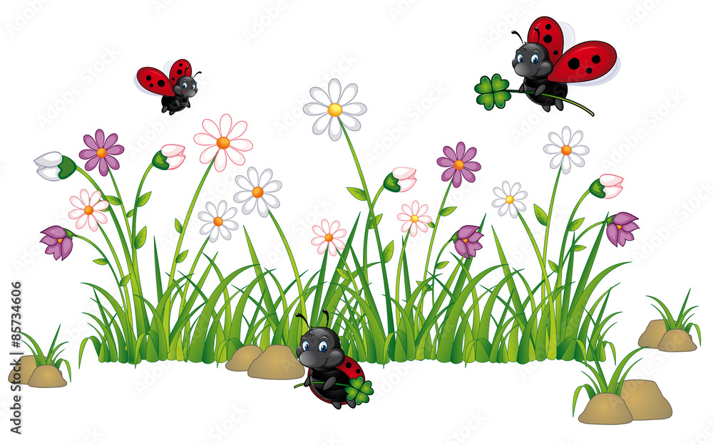 Obraz premium Glückskäfer auf Blumenwiese