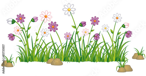 Sommerblumen