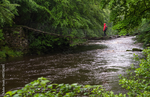 Allen Banks Walk in Northumberland. photo