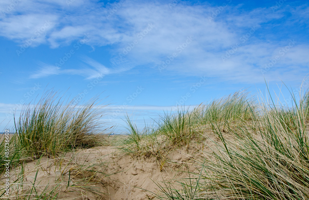 Sand Dune with Marram Grass against a beautiful blue sky. Sand Dune with Marram Grass against a beautiful blue sky.