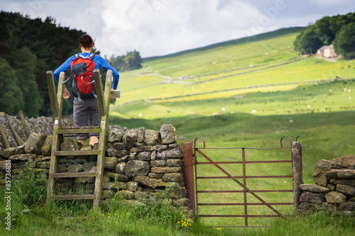Obraz na plátně Hiker crossing a Stile