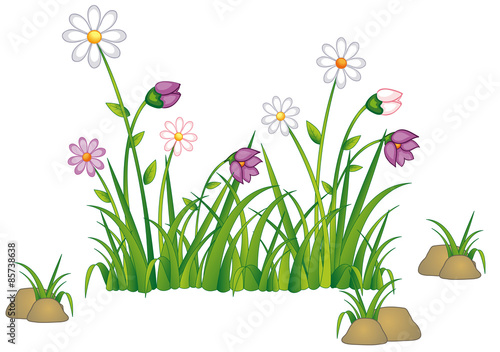 Gänseblümchen Vergissmeinnicht