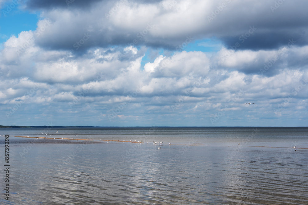 Gulf of Riga, Baltic sea.