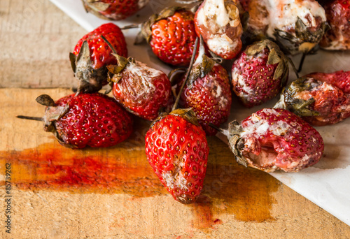 Photography rotten strawberries