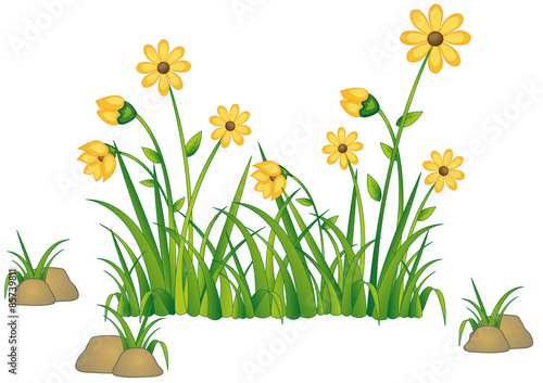 kleines Sonnenblumenfeld