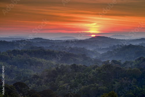 Mountain and fog Landscape