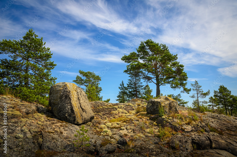 rocks and pines