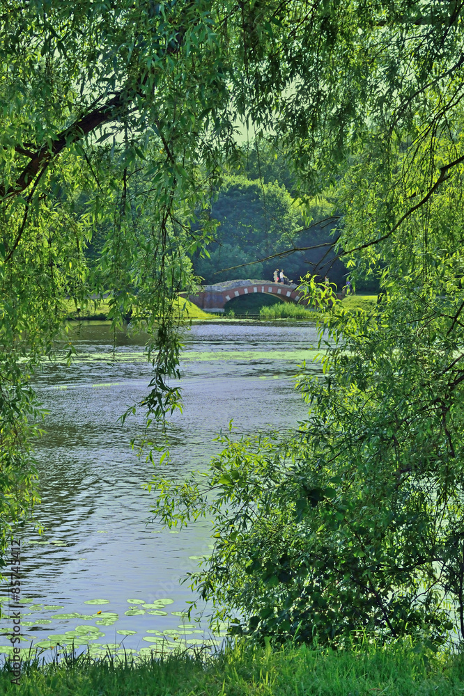 view of the bridge across the river through view of the bridge across the river through