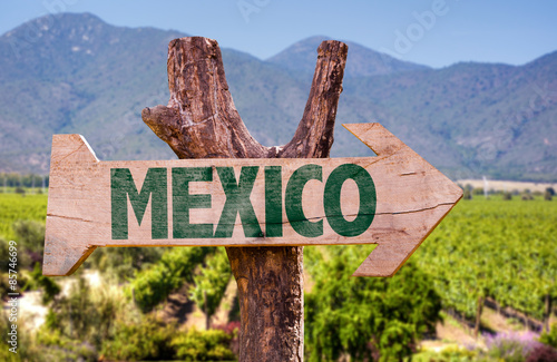 Mexico Flag wooden sign with winery background