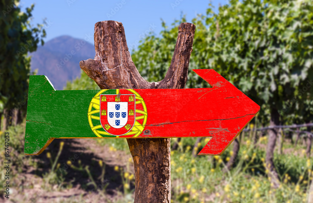 Portugal Flag wooden sign with winery background