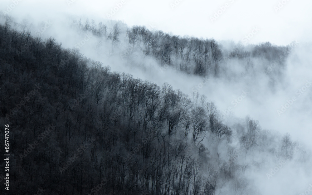 Cloudy Appalachian Mountains