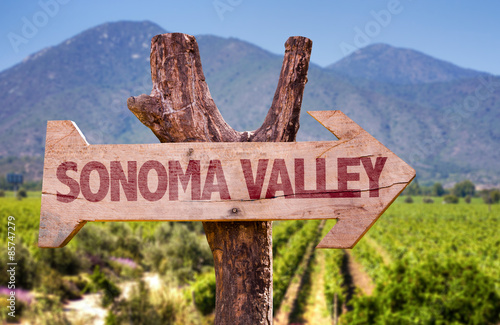 Sonoma Valley wooden sign with winery background photo