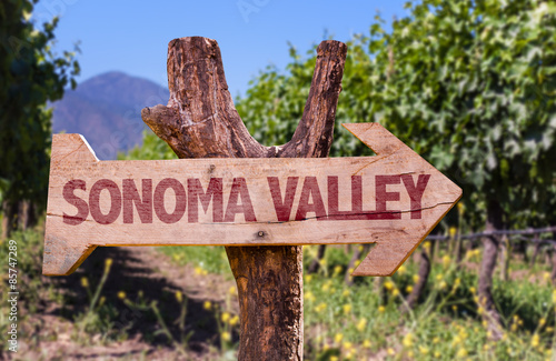 Sonoma Valley wooden sign with winery background photo