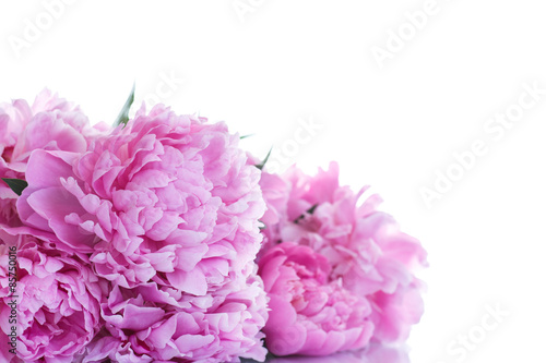 beautiful pink peonies