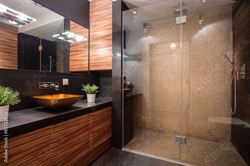 Bathroom with fancy shower photo