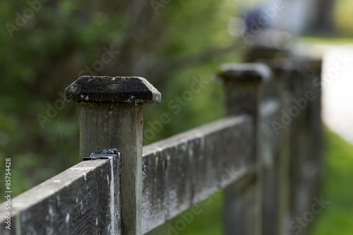 Old Fence