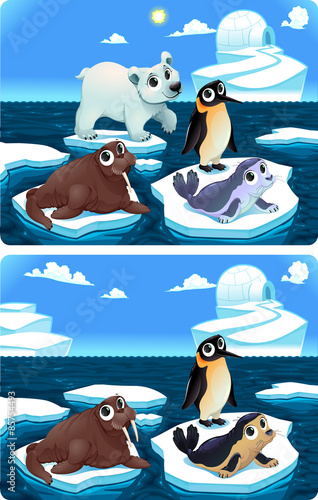 Spot the differences